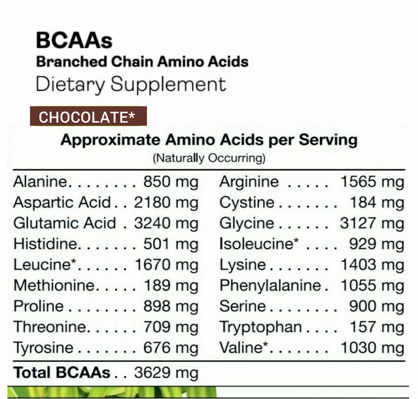 100% Organic- Vegan Protein Milkshake, Chocolate