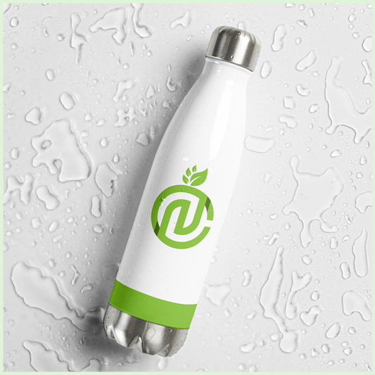 Stainless steel water bottle